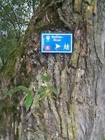 Wanderweg Rednitz-Rezat